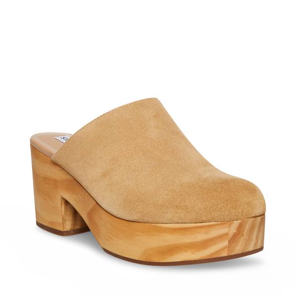 Steve Madden Bayridge Taupe Süet Heel Topuklu Ayakkabı Kadın Gri Kahverengi | SM-860CD