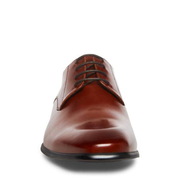 Steve Madden Beaux Cognac Deri Elbise Ayakkabısı Erkek Kahverengi | SM-286QA