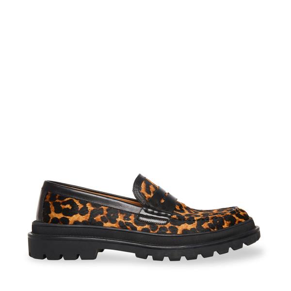 Steve Madden Charles Leopard Loafer Ayakkabı Erkek Leopar | SM-198FC