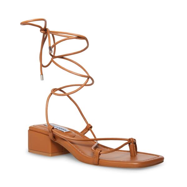 Steve Madden Claremont Tan Sandalet Kadın Koyu Kahverengi | SM-605EF