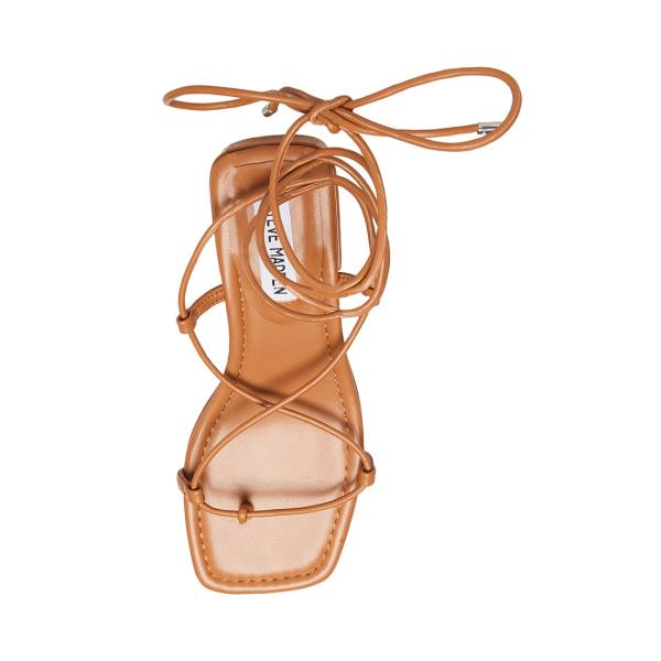 Steve Madden Claremont Tan Sandalet Kadın Koyu Kahverengi | SM-605EF