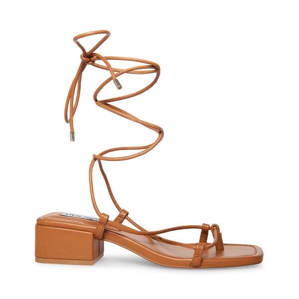 Steve Madden Claremont Tan Sandalet Kadın Koyu Kahverengi | SM-605EF