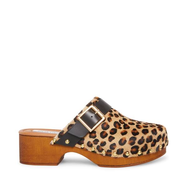 Steve Madden Dana-p Leopard Heel Topuklu Ayakkabı Kadın Leopar | SM-140SE