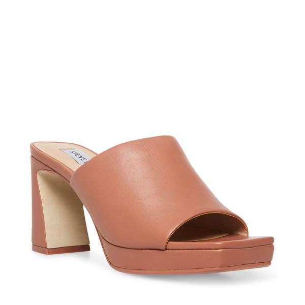 Steve Madden Dedicate Blush Deri Heel Topuklu Ayakkabı Kadın Pembe | SM-395EC