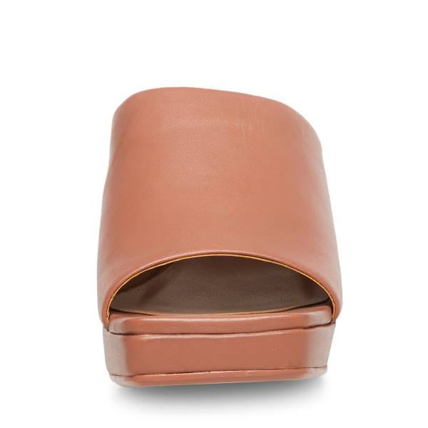 Steve Madden Dedicate Blush Deri Heel Topuklu Ayakkabı Kadın Pembe | SM-395EC