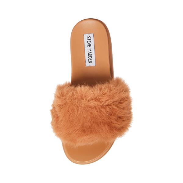 Steve Madden Delphina Tan Terlik Kadın Kahverengi | SM-641PX