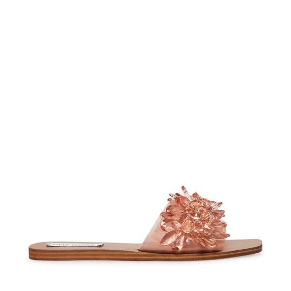 Steve Madden Miley Blush Sandalet Kadın Pembe | SM-498FL