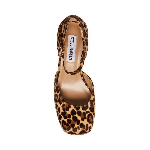 Steve Madden Mimi-l Leopard Heel Topuklu Ayakkabı Kadın Leopar | SM-584XZ