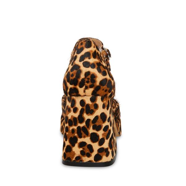 Steve Madden Mimi-l Leopard Heel Topuklu Ayakkabı Kadın Leopar | SM-584XZ