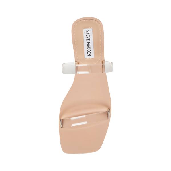 Steve Madden Pedra Sandalet Kadın Clear | SM-469AX