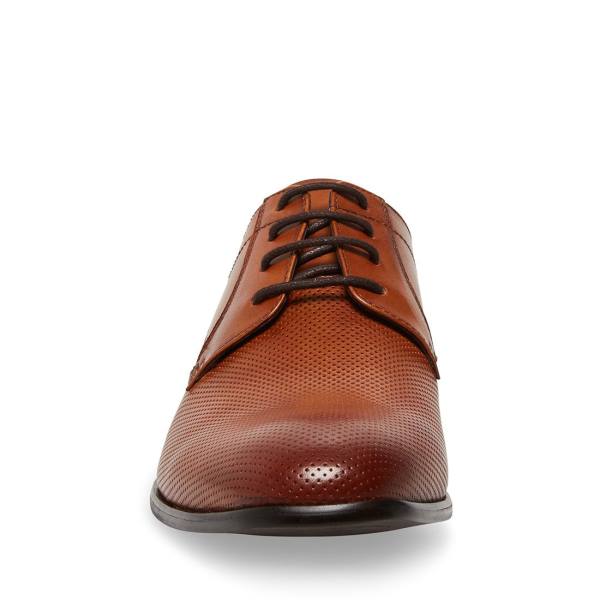 Steve Madden Perris Cognac Deri Elbise Ayakkabısı Erkek Kahverengi | SM-097HJ