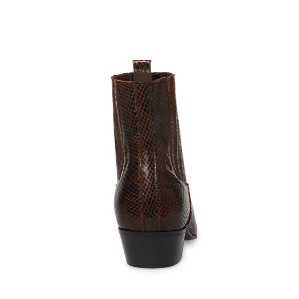 Steve Madden Pierre Snake Çizme Erkek Kahverengi Yılan | SM-238HA