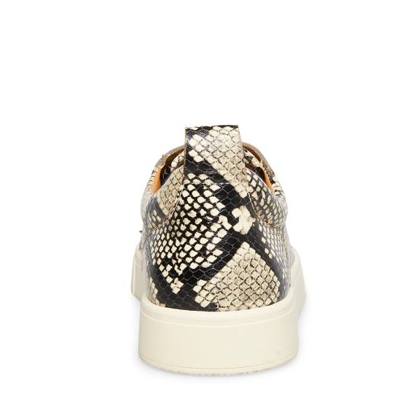 Steve Madden Portall Natural Snake Spor Ayakkabı Erkek Bej Rengi Yılan | SM-735TY