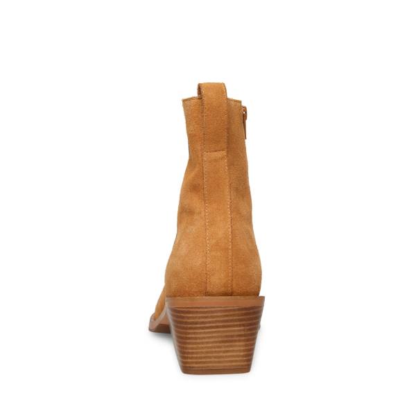 Steve Madden Richie Tan Süet Çizme Erkek Kahverengi | SM-247LP