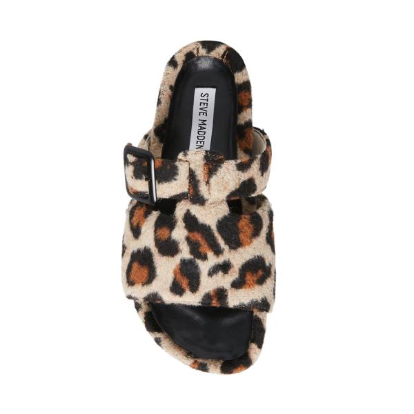 Steve Madden Rizzle Leopard Terlik Kadın Leopar | SM-607ER