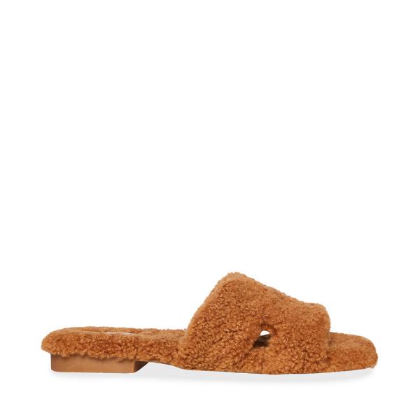 Steve Madden Seek Cognac Terlik Kadın Kahverengi | SM-942ID