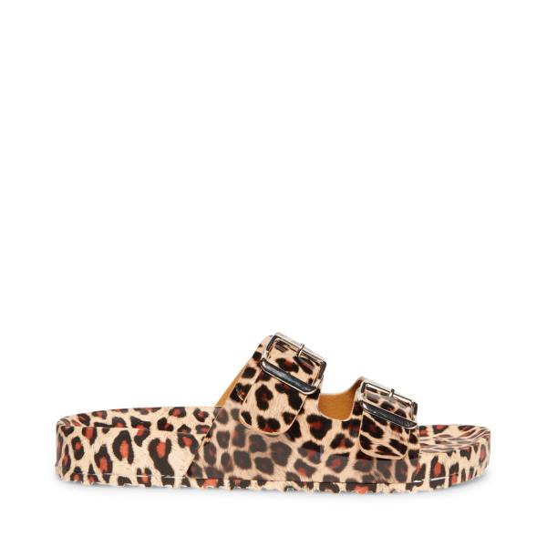 Steve Madden Teddy-t Leopard Sandalet Kadın Leopar | SM-530UB