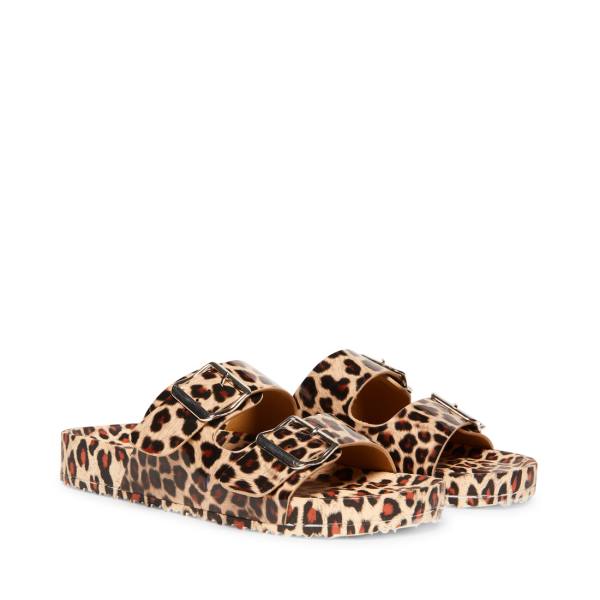 Steve Madden Teddy-t Leopard Sandalet Kadın Leopar | SM-530UB