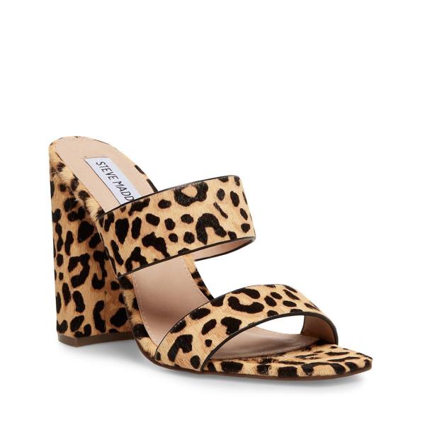 Steve Madden Tegan-l Leopard Heel Topuklu Ayakkabı Kadın Leopar | SM-036DY