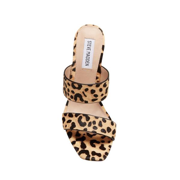 Steve Madden Tegan-l Leopard Heel Topuklu Ayakkabı Kadın Leopar | SM-036DY