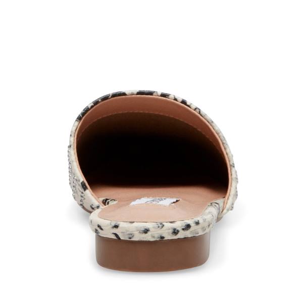 Steve Madden Tempting Snake Düz Ayakkabı Kadın Renkli Yılan | SM-041YR