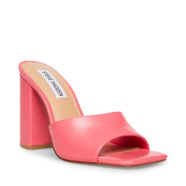 Steve Madden Trendy Deri Heel Topuklu Ayakkabı Kadın Pembe | SM-851FW