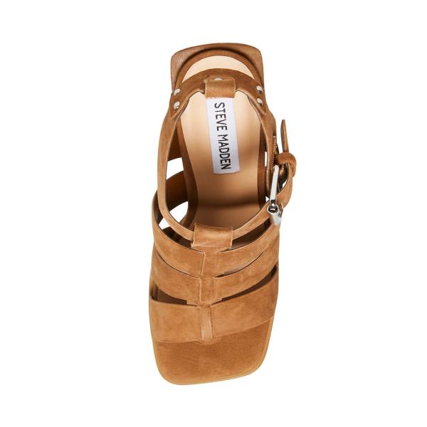 Steve Madden Tribeca Chestnut Süet Heel Topuklu Ayakkabı Kadın Kahverengi | SM-843GU