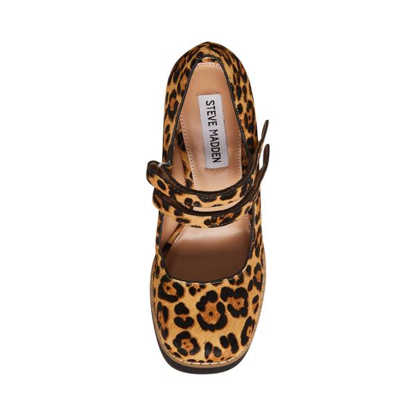 Steve Madden Twice-p Leopard Heel Topuklu Ayakkabı Kadın Leopar | SM-507LZ