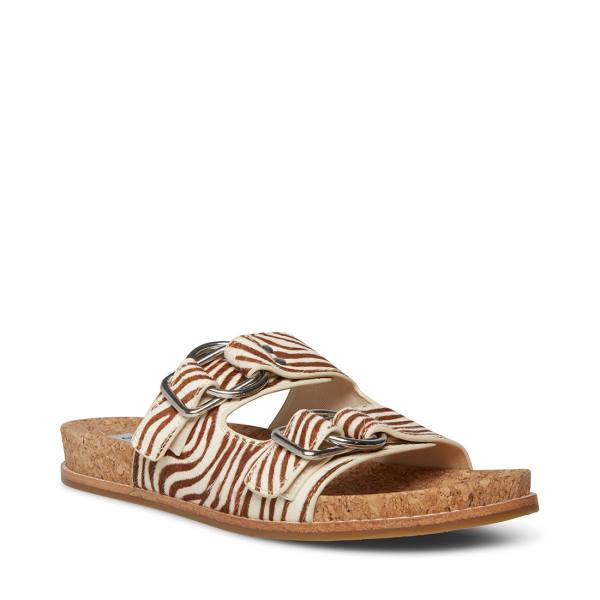 Steve Madden Zeya Sandalet Kadın Tiger | SM-431PO