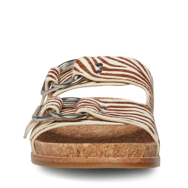 Steve Madden Zeya Sandalet Kadın Tiger | SM-431PO