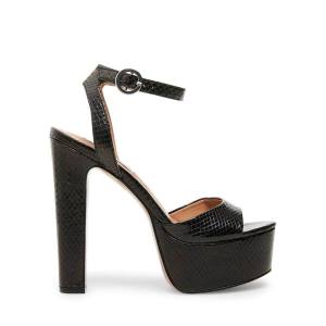 Steve Madden Skyla Snake Heel Topuklu Ayakkabı Kadın Siyah Yılan | SM-185XG